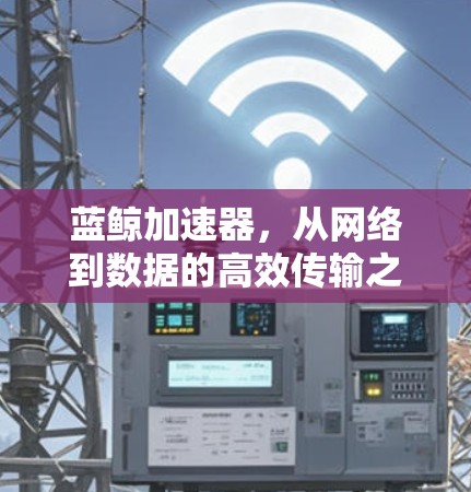 蓝鲸加速器,从网络到数据的高效传输之路