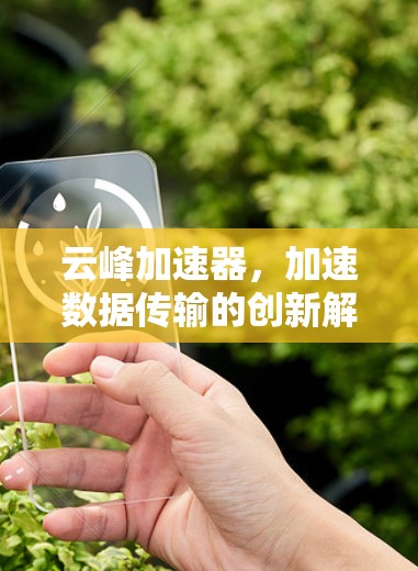 云峰加速器,加速数据传输的创新解决方案