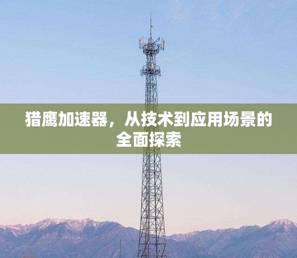 猎鹰加速器，从技术到应用场景的全面探索
