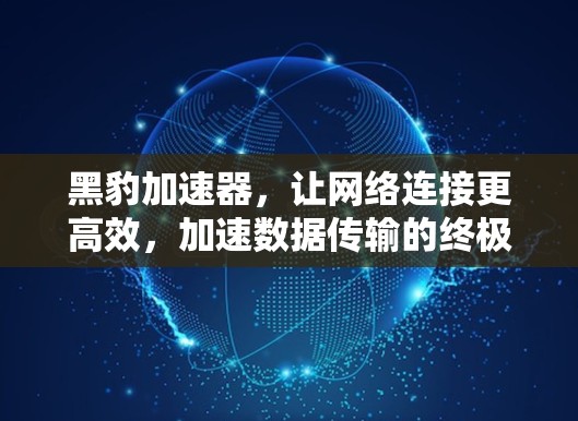 黑豹加速器,让网络连接更高效,加速数据传输的终极突破 黑豹加速器,让网络连接更高效,加速数据传输的终极突破