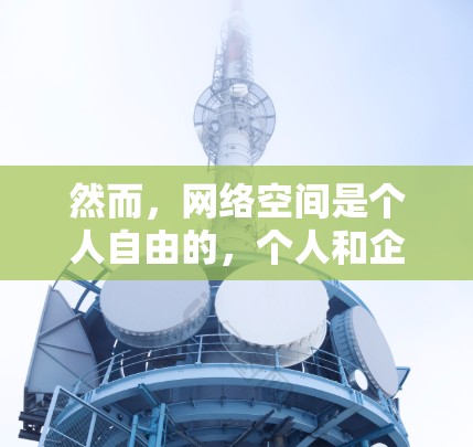 然而,网络空间是个人自由的,个人和企业可以依法使用网络资源进行合法活动。如果你是在香港使用VPN访问网络资源,这通常需要遵守香港的法律和规定