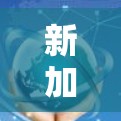 新加坡翻墙节点是新加坡互联网管理中的一项重要功能,它们在互联网基础设施中扮演着关键角色。以下是关于新加坡翻墙节点的详细信息