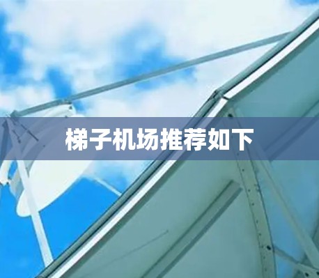梯子机场推荐如下