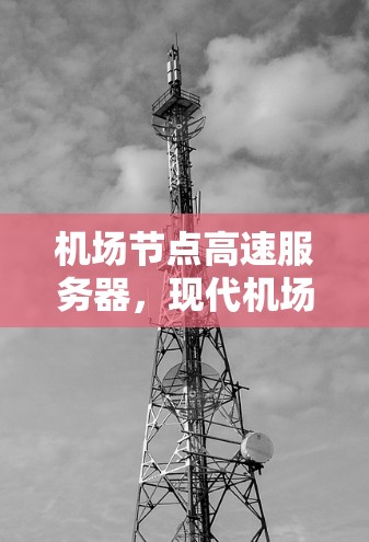 机场节点高速服务器,现代机场管理的数字化转型
