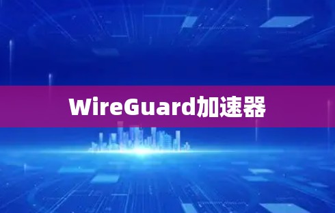 WireGuard加速器