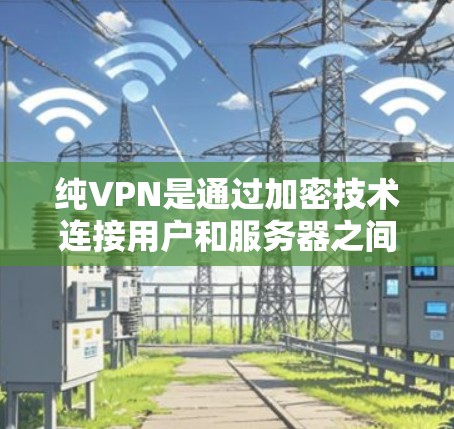 纯VPN是通过加密技术连接用户和服务器之间的网络，提供安全的网络连接体验。以下是关于纯VPN的评测