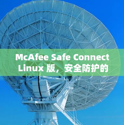 McAfee Safe Connect Linux 版,安全防护的全面解决方案