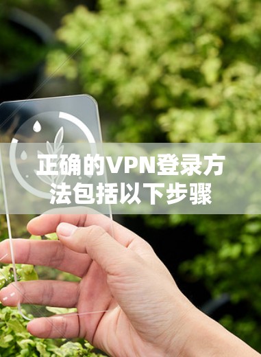 正确的VPN登录方法包括以下步骤