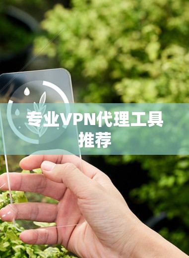 专业<strong>VPN代理</strong>工具推荐
