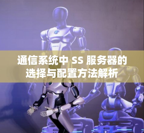 通信系统中 SS 服务器的选择与配置方法解析