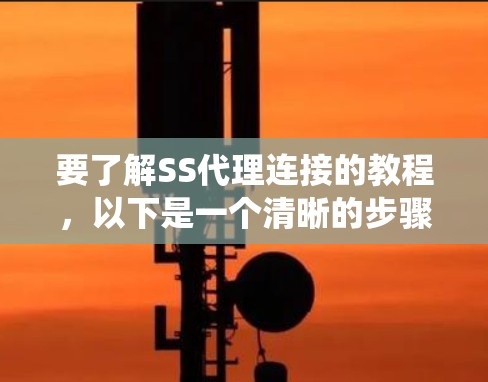 要了解SS代理连接的教程，以下是一个清晰的步骤指南，帮助你系统地完成配置和使用过程