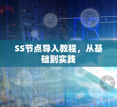 SS节点导入教程，从基础到实践