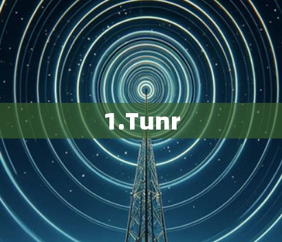 1.Tunr