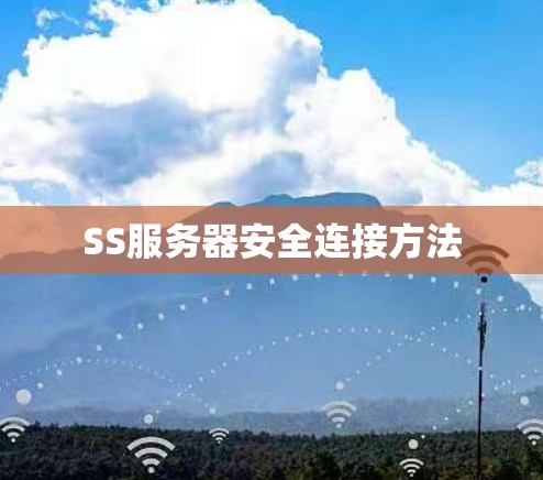 SS服务器安全连接方法