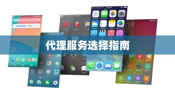 代理服务选择指南
