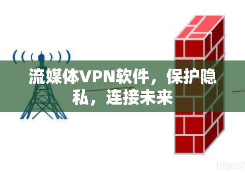 流媒体VPN软件,保护隐私,连接未来