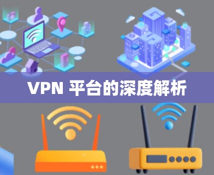 VPN 平台的深度解析