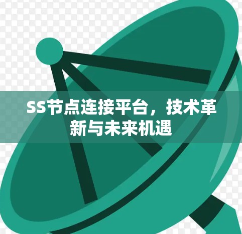 SS节点连接平台,技术革新与未来机遇