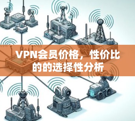 VPN会员价格，性价比的的选择性分析