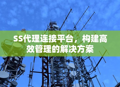 SS代理连接平台,构建高效管理的解决方案