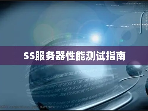 SS服务器性能测试指南