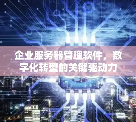 企业服务器管理软件,数字化转型的关键驱动力