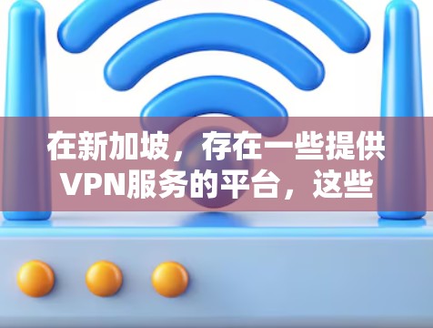 在新加坡,存在一些提供VPN服务的平台,这些平台通常遵循新加坡的网络法律和法规。以下是一些新加坡VPN服务平台的建议