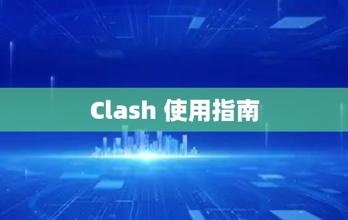 Clash 使用指南 Clash 使用指南