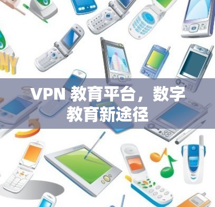 VPN 教育平台，数字教育新途径