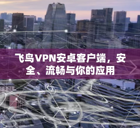 飞鸟VPN安卓客户端，安全、流畅与你的应用