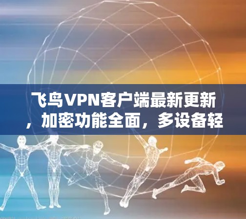 飞鸟VPN客户端最新更新,加密功能全面,多设备轻松使用,隐私保护升级版