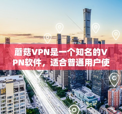 蘑菇VPN是一个知名的VPN软件，适合普通用户使用。它提供多种VPN服务，包括流媒体、在线游戏、视频会议等。蘑菇VPN的用户数量庞大，而且提供多种版本，价格相对较低，因此吸引了大量用户