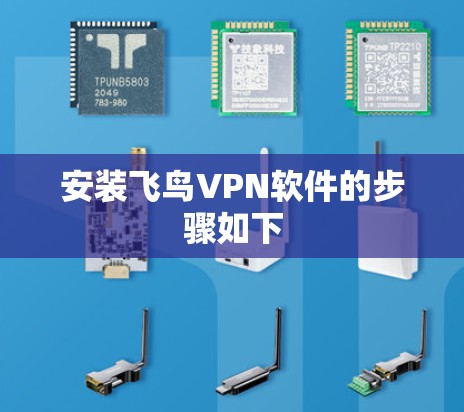 安装飞鸟VPN软件的步骤如下