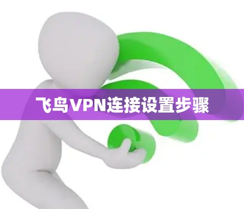 飞鸟VPN连接设置步骤