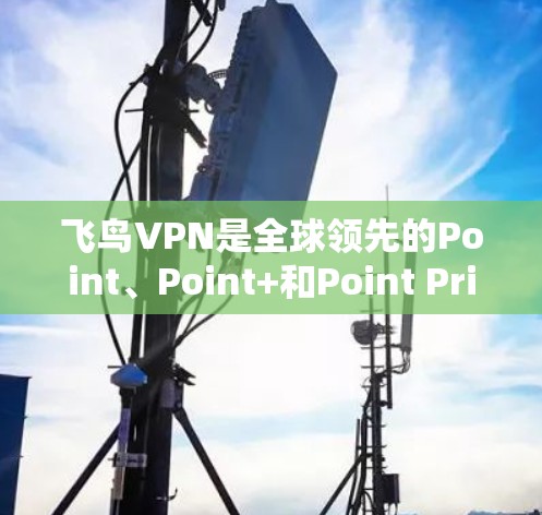 飞鸟VPN是全球领先的Point、Point+和Point Prime VPN服务提供商,提供灵活的多设备和多国家的网络连接,适合不同用户的需求。以下是详细的详细介绍