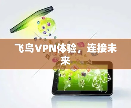 飞鸟VPN体验,连接未来