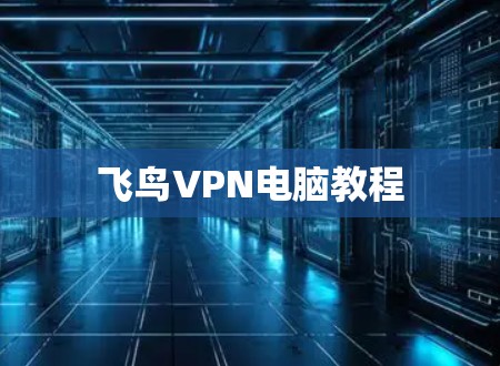 飞鸟VPN电脑教程