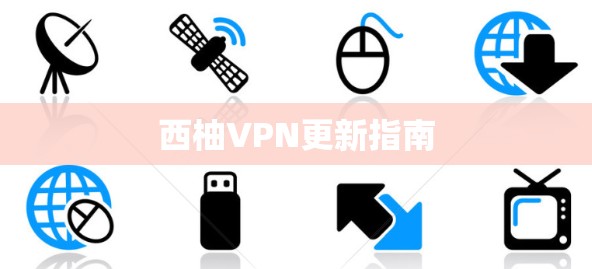 西柚VPN更新指南