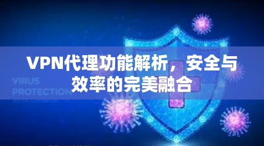 <strong>VPN代理</strong>功能解析，安全与效率的完美融合