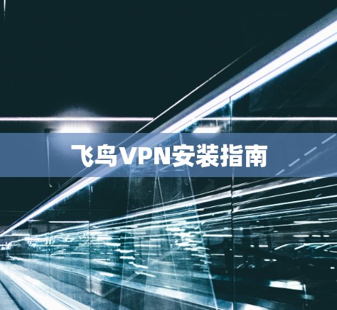 飞鸟VPN安装指南 飞鸟VPN安装指南
