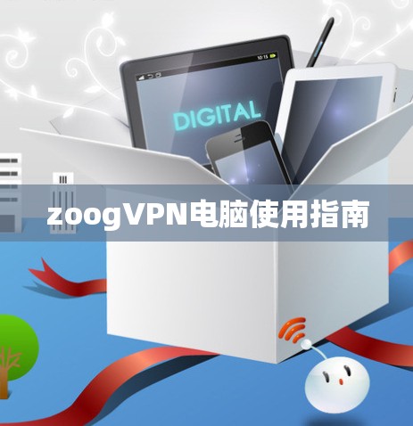 zoogVPN电脑使用指南