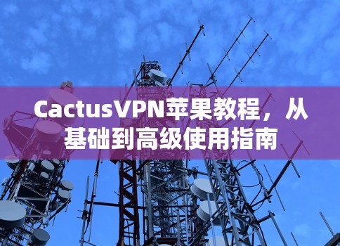 CactusVPN苹果教程,从基础到高级使用指南 CactusVPN苹果教程,从基础到高级使用指南