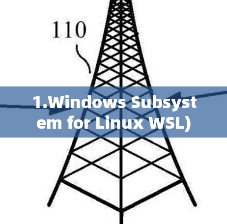 1.Windows Subsystem for Linux WSL)