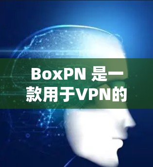 BoxPN 是一款用于VPN的软件，旨在通过网络连接目标服务器。以下是一步步的使用指南
