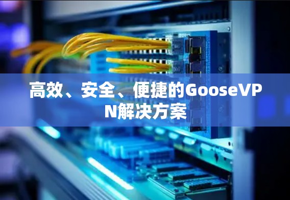 高效、安全、便捷的GooseVPN解决方案 高效、安全、便捷的GooseVPN解决方案