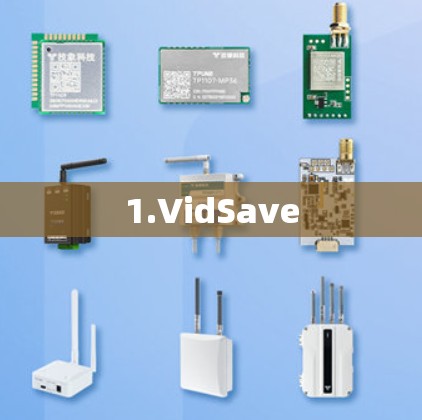 1.VidSave