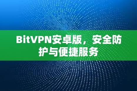 BitVPN安卓版,安全防护与便捷服务