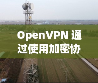 OpenVPN 通过使用加密协议(如 PPTP、TVP-se 等)来加密数据,确保在数据传输过程中不被截获或窃取。以下是一些可能遇到的问题和解决方法
