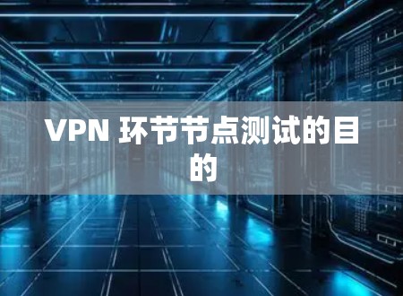 VPN 环节节点测试的目的