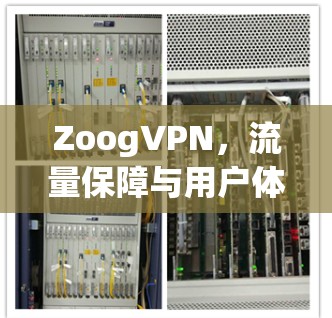 ZoogVPN，流量保障与用户体验的平衡之道